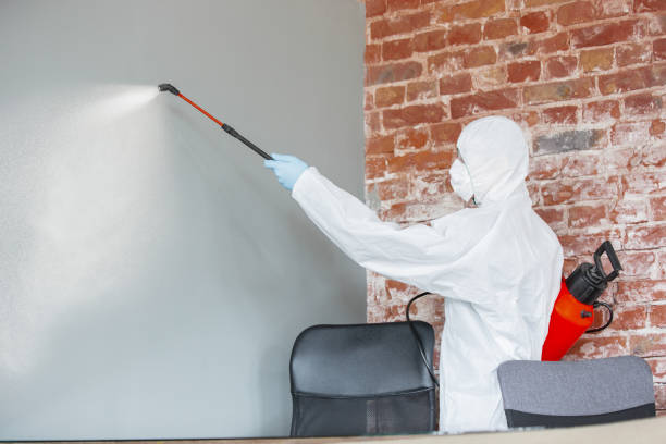 Best Airborne Mold Testing  in Marmora, NJ