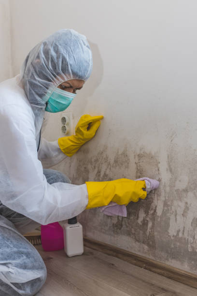 Best Emergency Mold Remediation  in Marmora, NJ