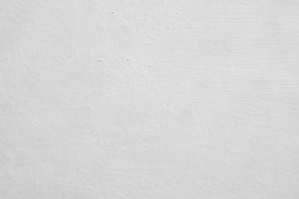 Marmora, NJ Mold Removal Company