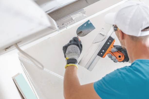 Best Black Mold Removal  in Marmora, NJ